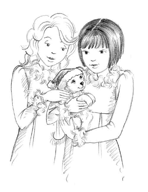 Иллюстрация к книге — Щенок Холли, или Туфли для ведьмы [block_001192181.jpg]