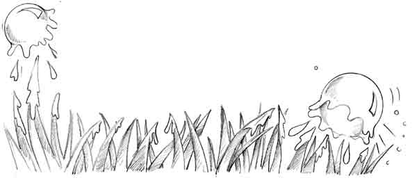 Иллюстрация к книге — Щенок Холли, или Туфли для ведьмы [block_00119260.jpg]