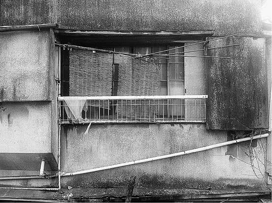 Иллюстрация к книге — Стоит только замолчать [i_005.jpg]