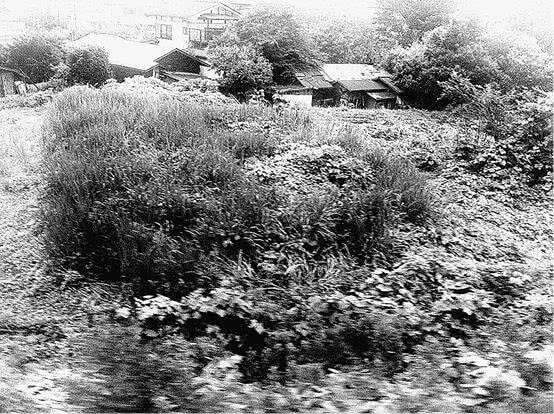 Иллюстрация к книге — Стоит только замолчать [i_007.jpg]