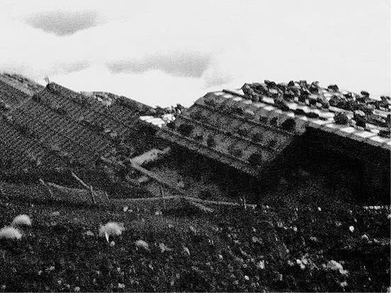 Иллюстрация к книге — Стоит только замолчать [i_009.jpg]