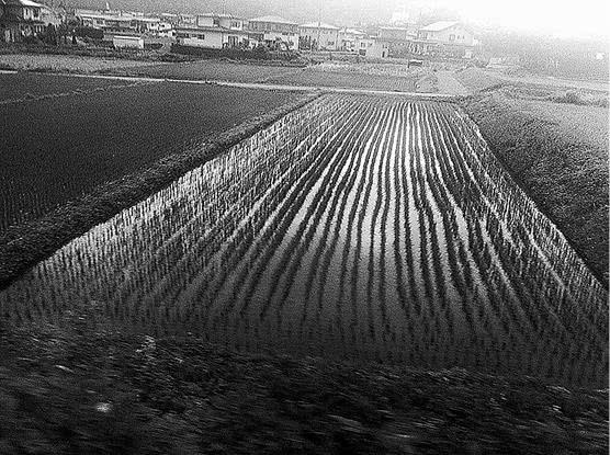 Иллюстрация к книге — Стоит только замолчать [i_012.jpg]