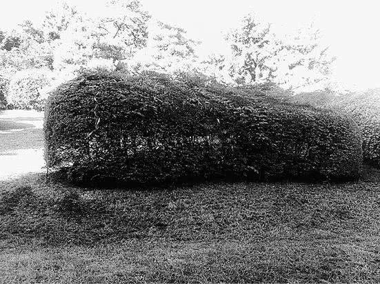 Иллюстрация к книге — Стоит только замолчать [i_015.jpg]