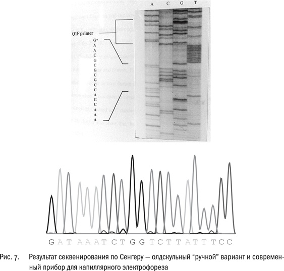 Иллюстрация к книге — ДНК и её человек. Краткая история ДНК-идентификации [i_008.jpg]