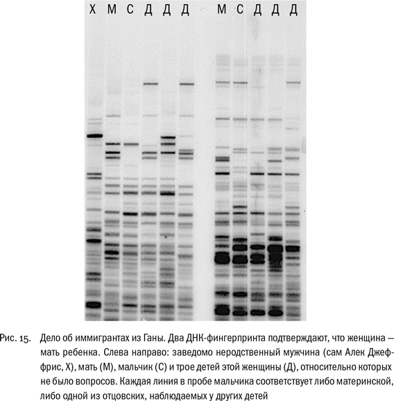 Иллюстрация к книге — ДНК и её человек. Краткая история ДНК-идентификации [i_015.jpg]