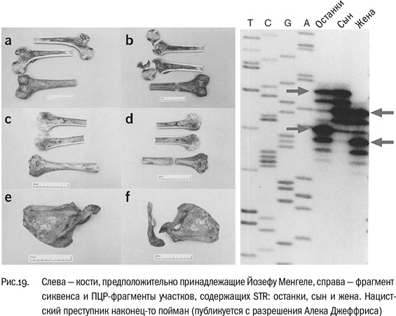 Иллюстрация к книге — ДНК и её человек. Краткая история ДНК-идентификации [i_019.jpg]