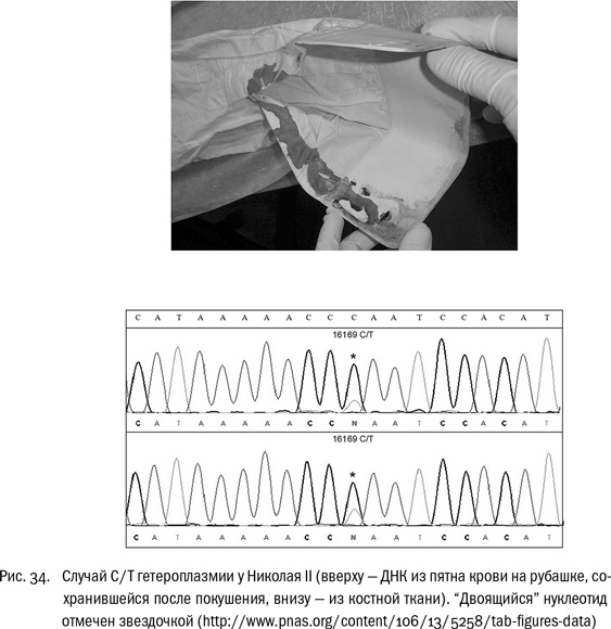 Иллюстрация к книге — ДНК и её человек. Краткая история ДНК-идентификации [i_034.jpg]