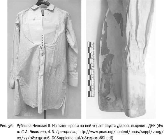 Иллюстрация к книге — ДНК и её человек. Краткая история ДНК-идентификации [i_036.jpg]