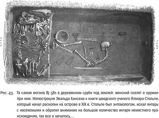 Иллюстрация к книге — ДНК и её человек. Краткая история ДНК-идентификации [i_043.jpg]