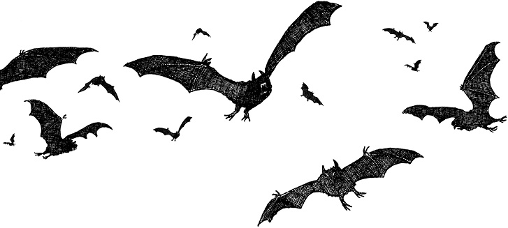 Иллюстрация к книге — Мастер ужасок [i_002.jpg]