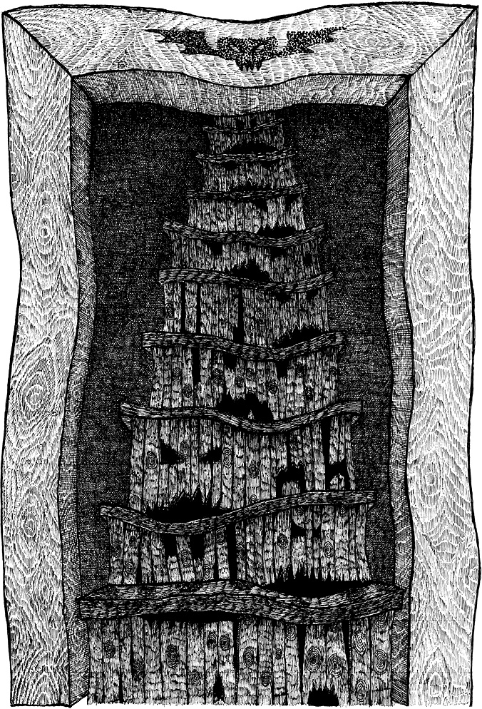 Иллюстрация к книге — Мастер ужасок [i_020.jpg]