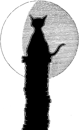 Иллюстрация к книге — Мастер ужасок [i_033.jpg]