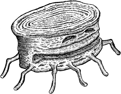 Иллюстрация к книге — Мастер ужасок [i_070.jpg]