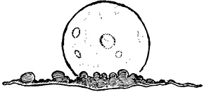 Иллюстрация к книге — Мастер ужасок [i_089.jpg]