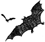 Иллюстрация к книге — Мастер ужасок [i_094.jpg]