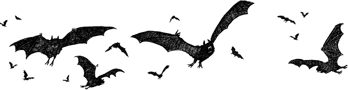 Иллюстрация к книге — Мастер ужасок [i_096.jpg]