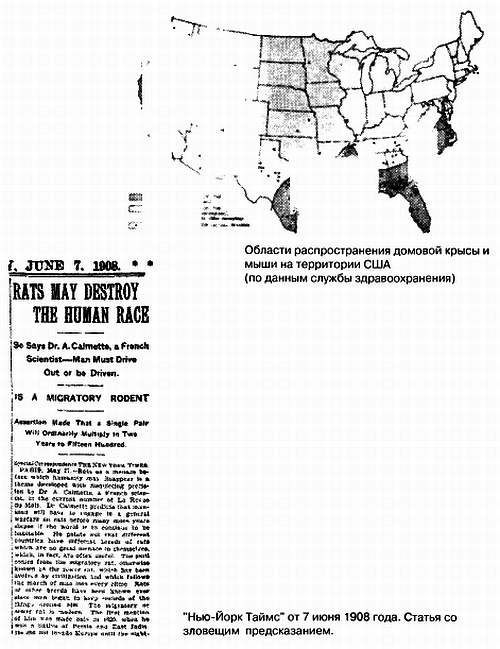 Иллюстрация к книге — Хитрее человека. Исчерпывающая история крысы и человеческая  цивилизация [_01.jpg]