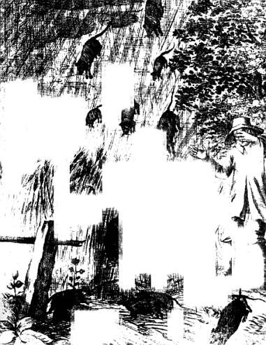 Иллюстрация к книге — Хитрее человека. Исчерпывающая история крысы и человеческая  цивилизация [_07.jpg]