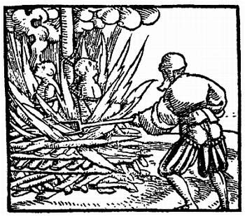 Иллюстрация к книге — Хитрее человека. Исчерпывающая история крысы и человеческая  цивилизация [_11.jpg]