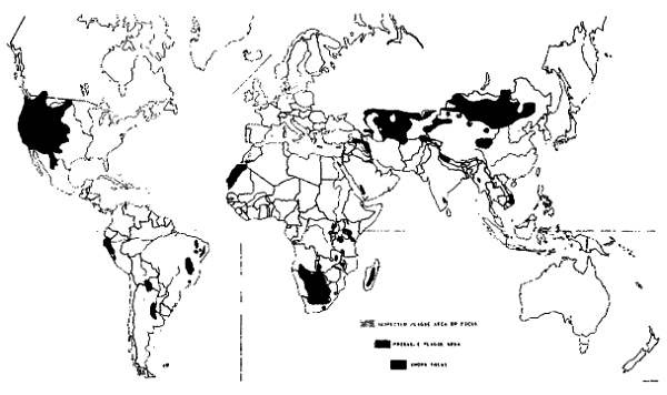 Иллюстрация к книге — Хитрее человека. Исчерпывающая история крысы и человеческая  цивилизация [_17.jpg]