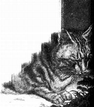 Иллюстрация к книге — Хитрее человека. Исчерпывающая история крысы и человеческая  цивилизация [_43.jpg]