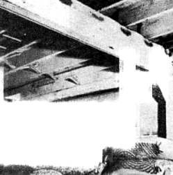 Иллюстрация к книге — Хитрее человека. Исчерпывающая история крысы и человеческая  цивилизация [_75.jpg]