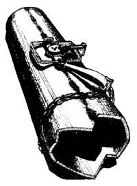 Иллюстрация к книге — Хитрее человека. Исчерпывающая история крысы и человеческая  цивилизация [_77.jpg]