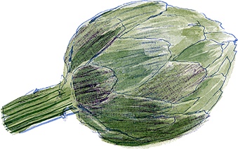 Иллюстрация к книге — Как выносить и родить здорового малыша. Понедельное руководство по беременности и родам прямо из уст акушерки [i_008.jpg]