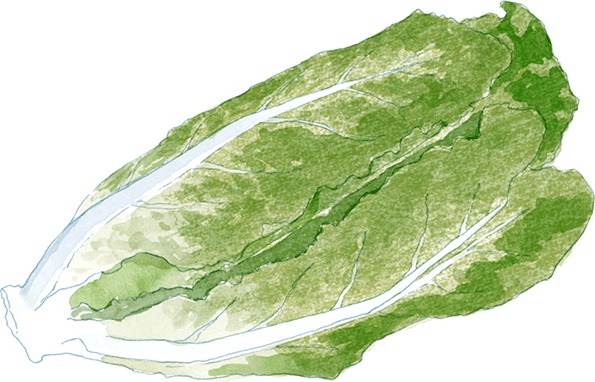 Иллюстрация к книге — Как выносить и родить здорового малыша. Понедельное руководство по беременности и родам прямо из уст акушерки [i_011.jpg]