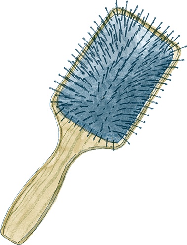 Иллюстрация к книге — Как выносить и родить здорового малыша. Понедельное руководство по беременности и родам прямо из уст акушерки [i_013.jpg]