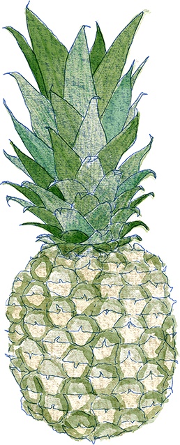 Иллюстрация к книге — Как выносить и родить здорового малыша. Понедельное руководство по беременности и родам прямо из уст акушерки [i_025.jpg]