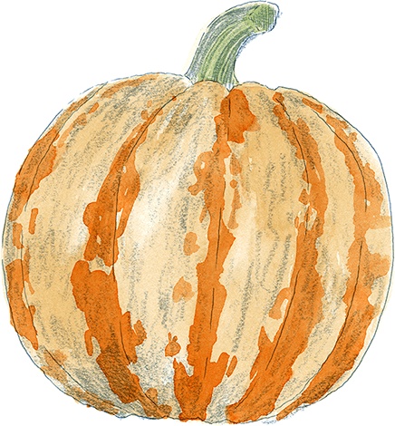 Иллюстрация к книге — Как выносить и родить здорового малыша. Понедельное руководство по беременности и родам прямо из уст акушерки [i_035.jpg]