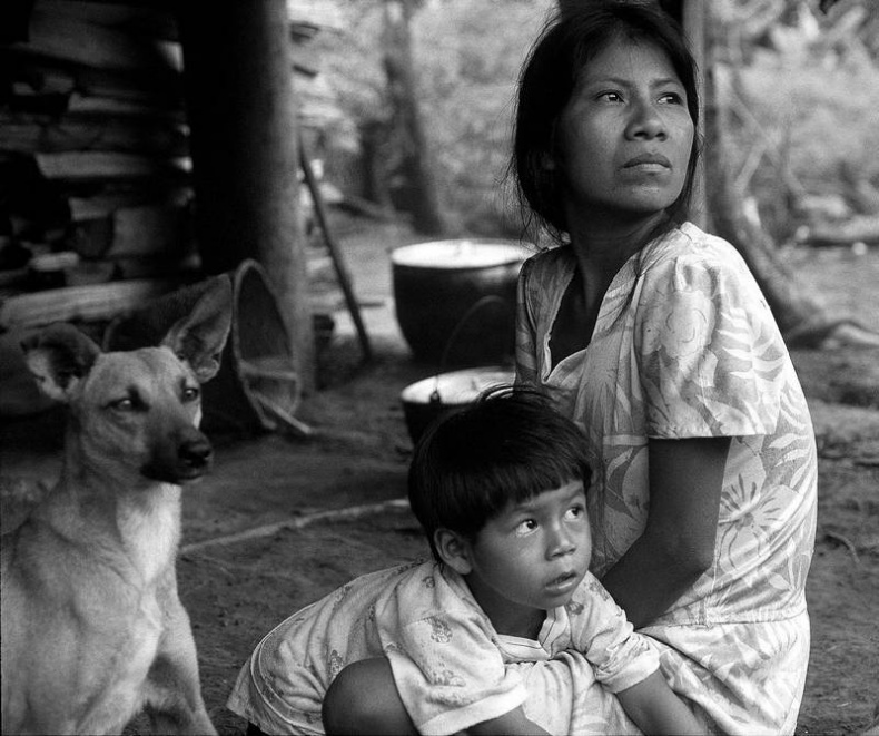 Иллюстрация к книге — Как мыслят леса. К антропологии по ту сторону человека [i_007.jpg]