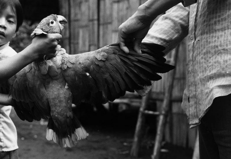 Иллюстрация к книге — Как мыслят леса. К антропологии по ту сторону человека [i_010.jpg]