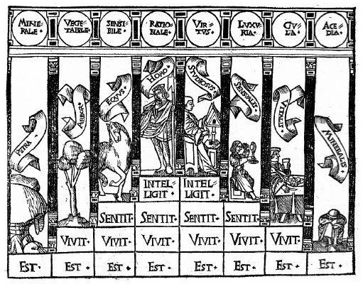 Иллюстрация к книге — О чем думают растения [i_001.jpg]