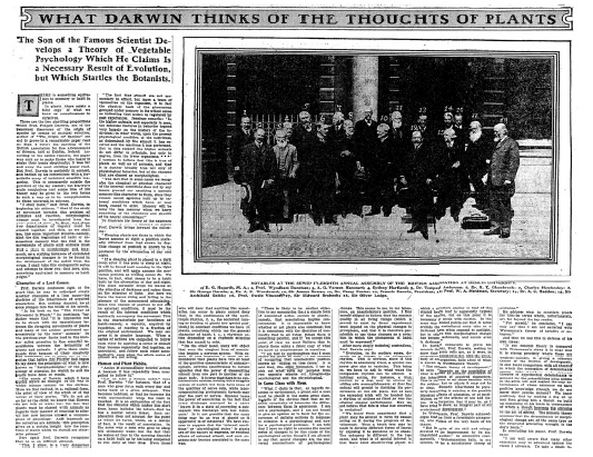 Иллюстрация к книге — О чем думают растения [i_002.jpg]