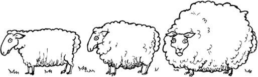 Иллюстрация к книге — Говори как английская королева. The Queen&#039;s English and how to use it [i_010.jpg]