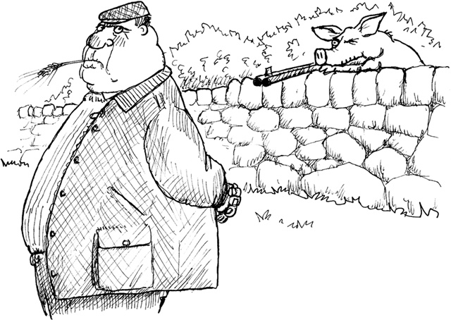 Иллюстрация к книге — Говори как английская королева. The Queen&#039;s English and how to use it [i_013.jpg]