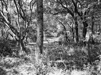 Иллюстрация к книге — Инсектопедия [i_018.jpg]