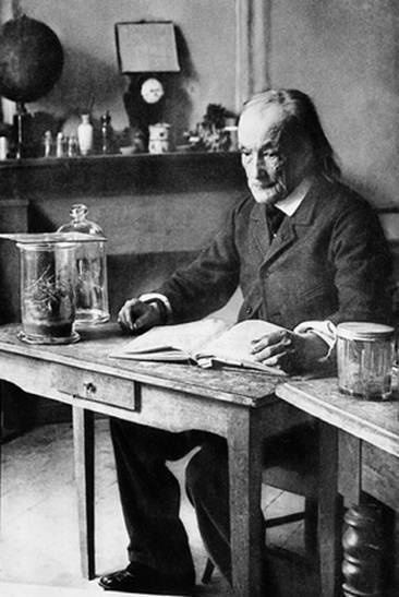 Иллюстрация к книге — Инсектопедия [i_020.jpg]