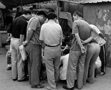 Иллюстрация к книге — Инсектопедия [i_029.jpg]