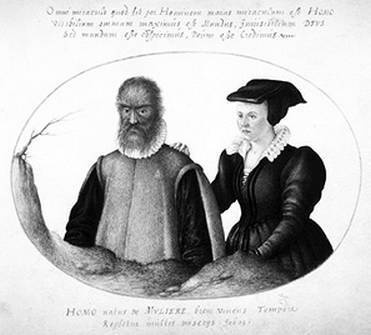 Иллюстрация к книге — Инсектопедия [i_040.jpg]