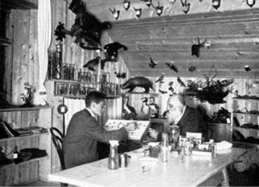 Иллюстрация к книге — Инсектопедия [i_055.jpg]