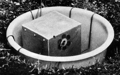 Иллюстрация к книге — Инсектопедия [i_062.jpg]