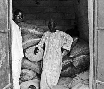 Иллюстрация к книге — Инсектопедия [i_073.jpg]