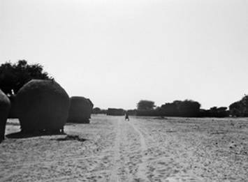 Иллюстрация к книге — Инсектопедия [i_076.jpg]