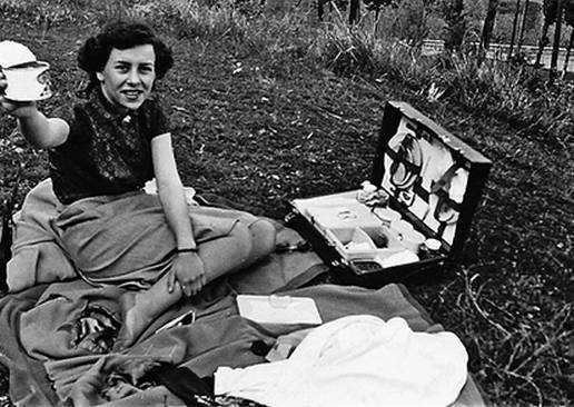 Иллюстрация к книге — Инсектопедия [i_077.jpg]