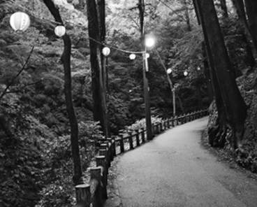 Иллюстрация к книге — Инсектопедия [i_085.jpg]