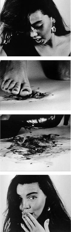 Иллюстрация к книге — Инсектопедия [i_089.jpg]