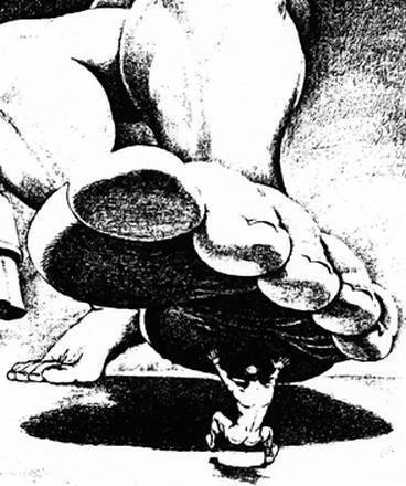 Иллюстрация к книге — Инсектопедия [i_091.jpg]